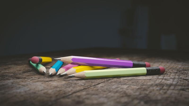Mentorship Programs
